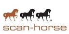 Logo Scan Horse