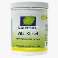 Natures Best Vita-Kiesel