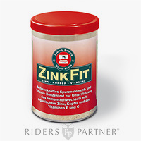 Salvana Zink Fit 