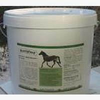 Neomed Nutripferd
