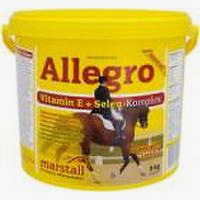Marstall Allegro 