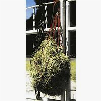 Scan-Horse Heunetz