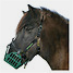 Produkt Thumbnail Greenguard Halfter 55 Standard Pony 