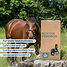 Produkt Thumbnail STRÖH - HORSE MASH 30kg Feedbox