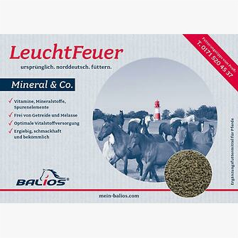 Produkt Bild Balios LeuchtFeuer Mineral & Co 8kg 1