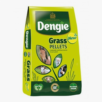 Produkt Bild Dengie Grass Pellets 20kg 1