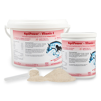 Produkt Bild Equipower - Vitamin E 2 kg 1