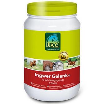 Produkt Bild Lexa Ingwer Gelenk + 1 kg 1
