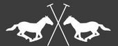 Logo HV Polo