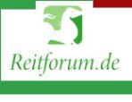 logo-Der Reiterteff im Internet