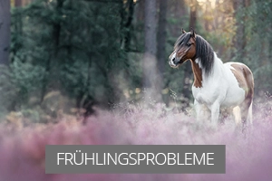 Frühling - Tipp im Problemfall