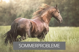 Sommer - Tipp im Problemfall