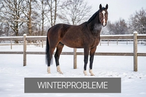 Winter - Tipp im Problemfall