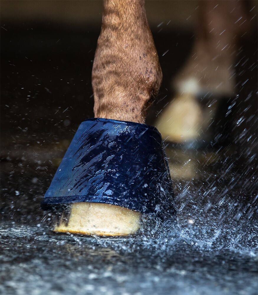 Waldhausen Water Boot Hufglocken ab € 19,10 im bei Ströh