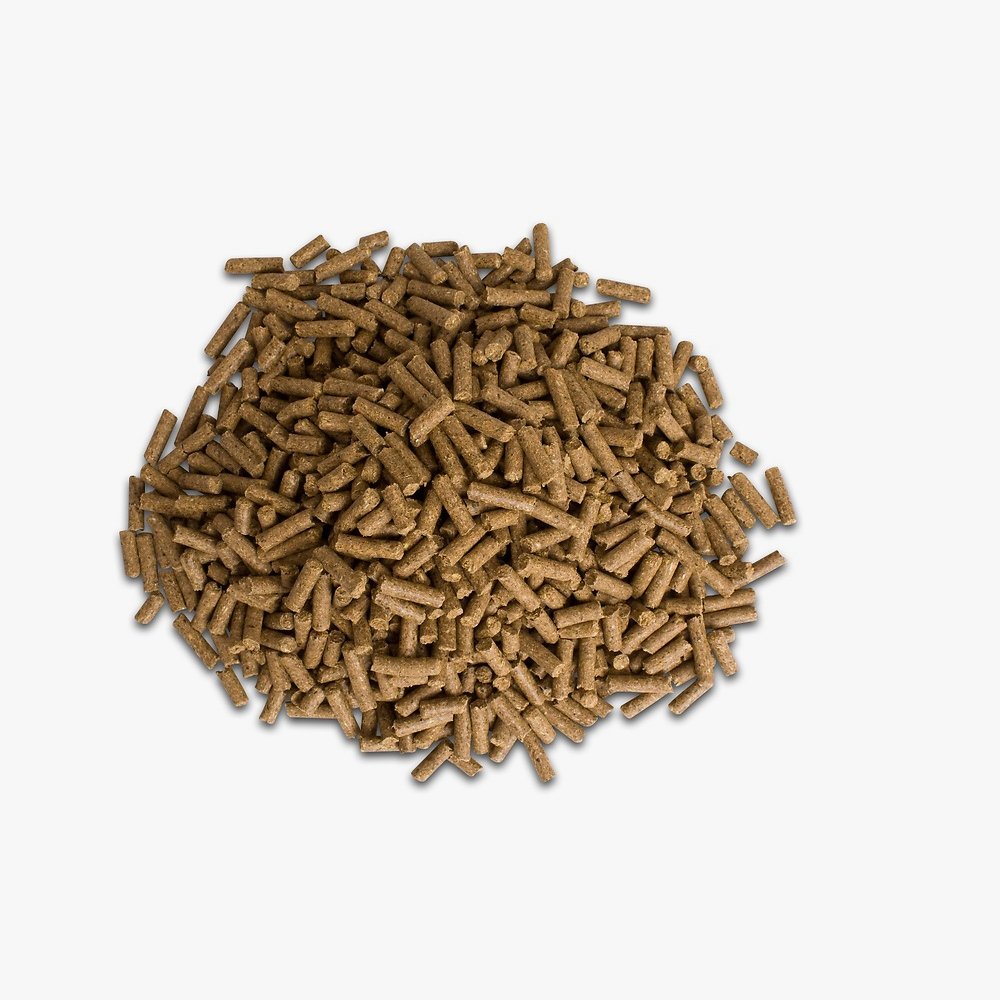 DODSON & HORRELL Build up Conditioning Cubes 20kg ab € 29,15 im bei Ströh Alles für