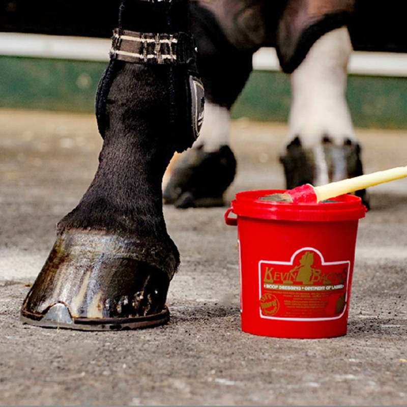 Kevin Bacon's Hoof Dressing Schwarz 5 l ab € 61,80 im bei