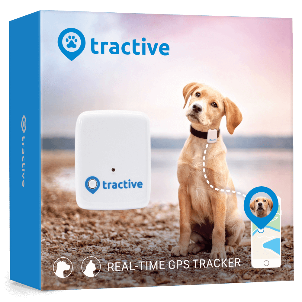 Tractive GPS Tracker für Haustiere Hund XL ab € 77,11 im bei Ströh Alles für Ihr