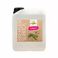 Bense & Eicke BremsenSchock 2,5L