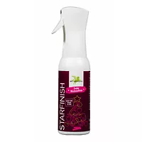 Bense & Eicke StarFinish Orange-Zimt Weihnachtsedition 500ml