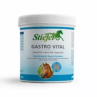 Stiefel Gastro Vital 1kg