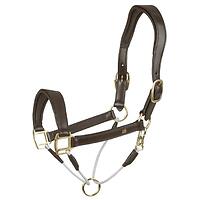 Waldhausen Lederhalfter S-Line Royal