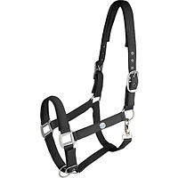 Waldhausen Halfter Trinidad