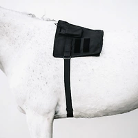 Cheval LED Elastisches verstellbares Band