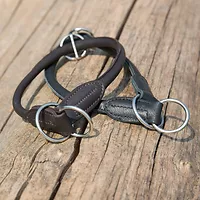 Kieffer Halsband Training