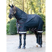 LeMieux Arika Storm-Tek Rug 100g