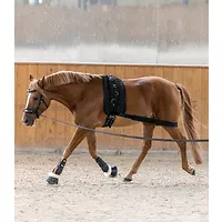 Waldhausen Körperbandage