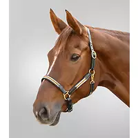 Waldhausen Lederhalfter X-Line Oxford