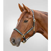 Waldhausen Lederhalfter X-Line Oxford