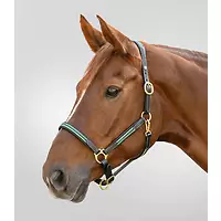 Waldhausen Lederhalfter X-Line Oxford