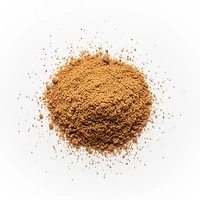 Nobel Skaga Booster 1kg