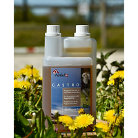 Nobel Gastro Liquid 1L