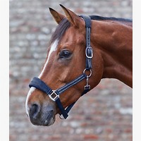 Gummidichtung Warmblut normal f. AirOne/AirOneFlex ab € 37,95 im Onlineshop  bei Ströh - Alles für Ihr Pferd