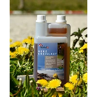 Nobel Herz-Kreislauf-Liquid 1L