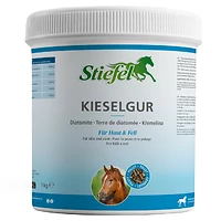 STIEFEL Kieselgur 1kg