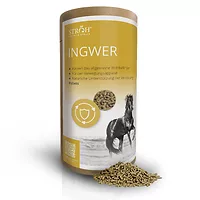 STRÖH Ingwer 1,2 kg Feedbox Dose