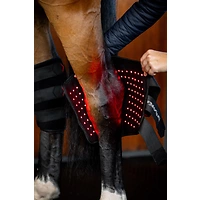 Horseware LED-Rotlicht-Therapie – Sprunggelenkgamasche