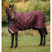 Horseware Amigo 1200D Plus Weidedecke 100g