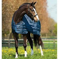Horseware Unterdecke Liner 200g