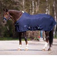Busse Sommerdecke EARLY SEASON