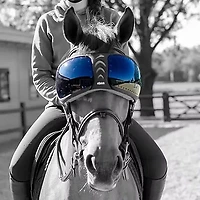 eQuick® eVysor Brillengläser Kit darker