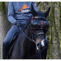 eQuick® eVysor Schutzbrille darker, onesize