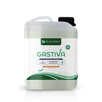 Gastiva equine 2,5 L