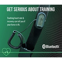 Horsepal Trainingsband mit Verlängerung