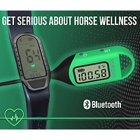 Horsepal Gesundheits-Check-Set