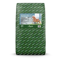 St. Hippolyt GlyxWiese® Wiesen Mix light 15 kg Ballen
