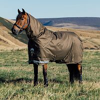 LeMieux Arika Ripstop 0g Turnout Rug 